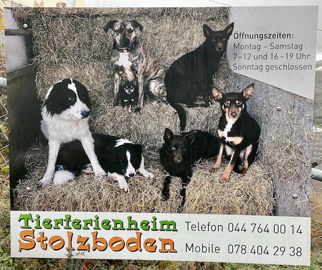 tierferienheim stolzboden